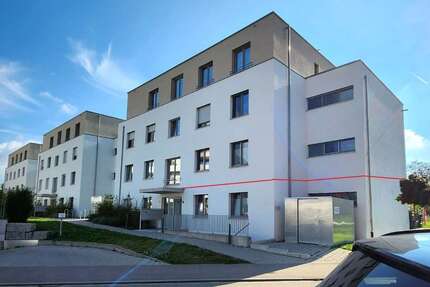 Wohnung zum Kaufen in Rheinfelden (Baden) 550.000 € 117 m² 4.5 zimmer