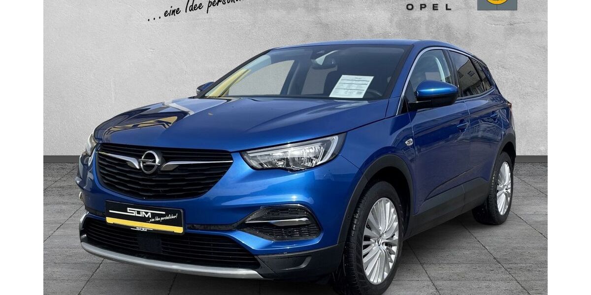 Opel Grandland (X) 100.390 km 13.490 &euro; Heitersheim 79423