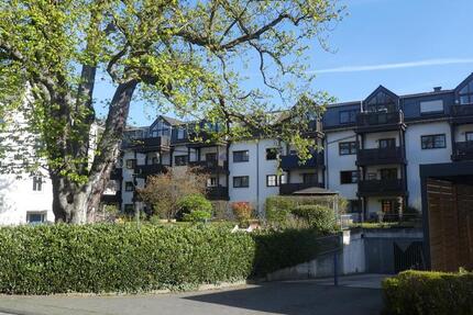 Gut aufgeteilte Wohnung mit Sonnenbalkon in bester Lage Trier-Ost, unmittelbar am Palastgarten 2 zimmer