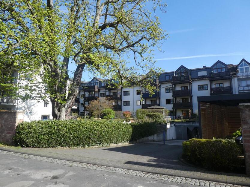 Gut aufgeteilte Wohnung mit Sonnenbalkon in bester Lage Trier-Ost, unmittelbar am Palastgarten 2 zimmer