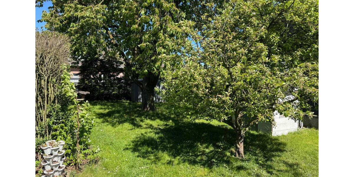 Etagenwohnung Bedburg-Hau Hau - 3 Zimmer, 65 m&sup2;, 630&euro; | Angebot:26402524