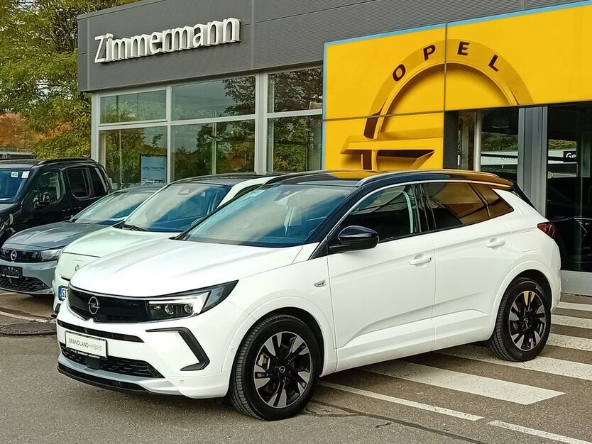 Opel Grandland (X) 75.500 km 23.950 € Sigmaringen 72488
