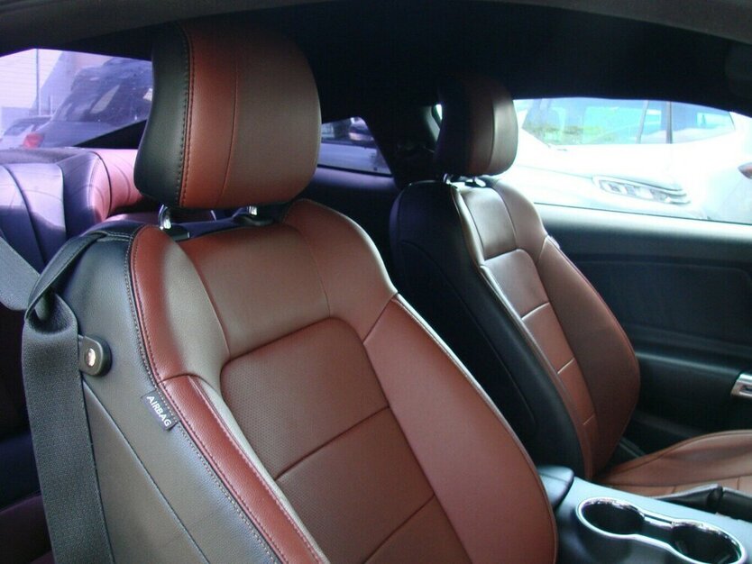 Mustang 5.0 GT Coupé Navi Kamera SHAKER