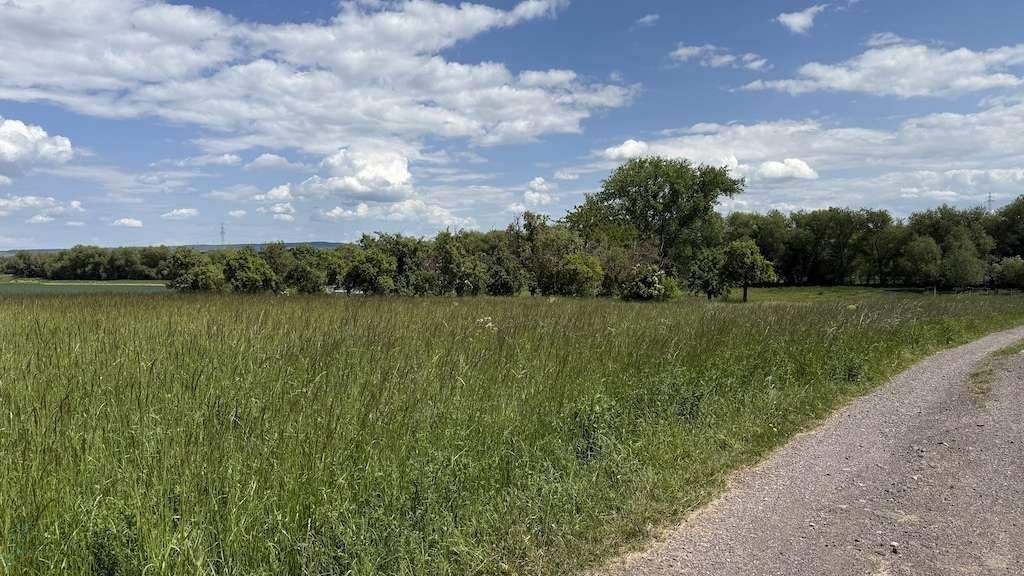 Grundstück Arnstadt Marlishausen - 143.520&euro; | Angebot:25667348