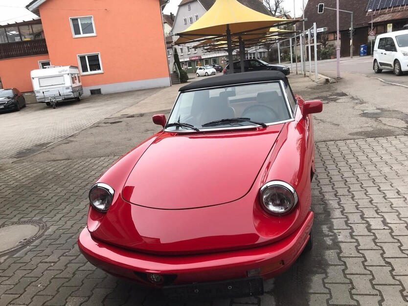Alfa Spider