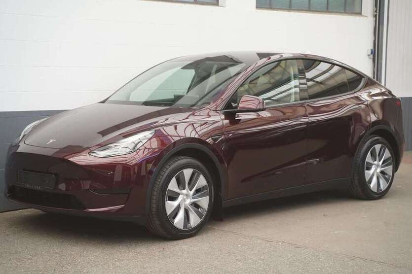 Model Y