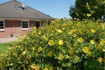Geltinger Bucht! Gepflegter Bungalow in ruhiger Lage in 24972 Steinbergkirche zu verkaufen. 4 zimmer