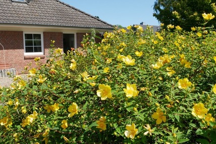 Geltinger Bucht! Gepflegter Bungalow in ruhiger Lage in 24972 Steinbergkirche zu verkaufen. - Haus Steinbergkirche | Angebot:21383739
