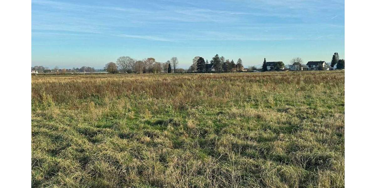 Grundstück Bornheim Merten - 299.000&euro; | Angebot:25781302