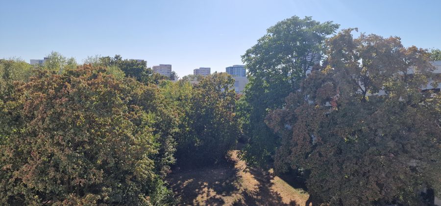 Provisionsfrei* Ruhige 3,5-Zimmer-Wohnung mit Südbalkon & Grünblick - Parkseite direkt unterm Dach in Mannheim-Vogelstang - Etagenwohnung Mannheim Käfertal | Angebot:27223340