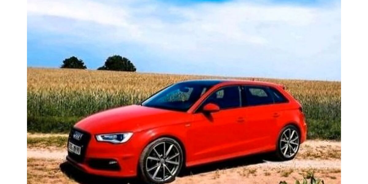 Audi A3 130.000 km 14.000 &euro; Wiesenfelden 94344