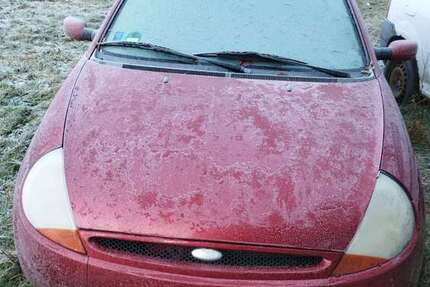 Ford Ka/Ka+ 84.000 km 600 &euro; Göllin 18246