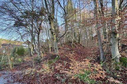 Grundstück zu verkaufen in Kaiserslautern 99.000 € 1242 m² zimmer