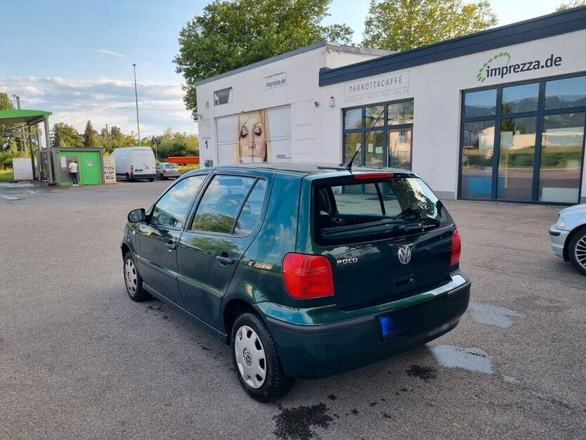 Polo