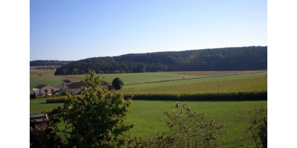 Dachgeschoßwohnung Regenstauf - 2 Zimmer, 550&euro; | Angebot:21606544