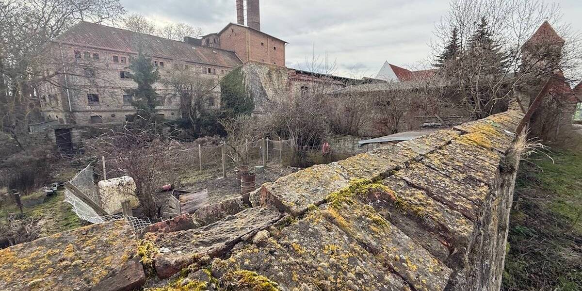Gewerbeobjekt Wegeleben - 345.000&euro; | Angebot:26156657
