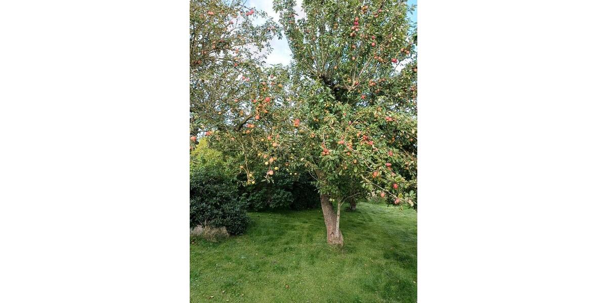 Einfamilienhaus Fehmarn - 3 Zimmer, 115 m&sup2;, 135.000&euro; | Angebot:26780525
