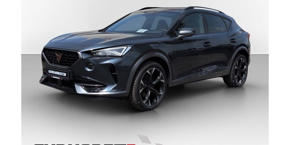 Cupra Formentor 95.050 km 23.490 &euro; Leipzig 04129