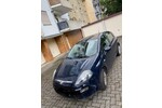 Punto Evo