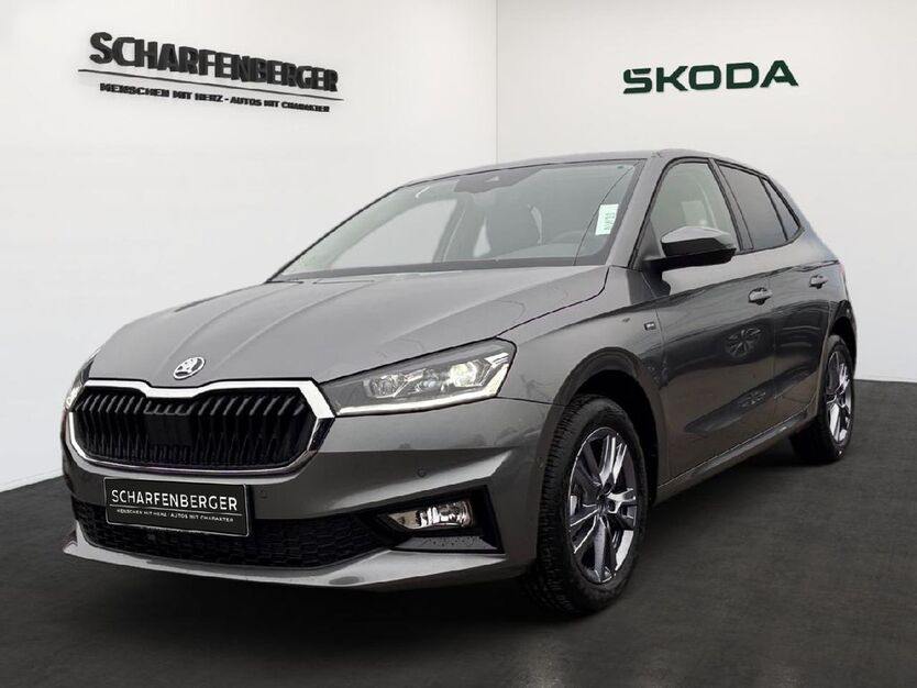 Skoda Fabia 3.000 km 24.420 € Ingersheim 74379