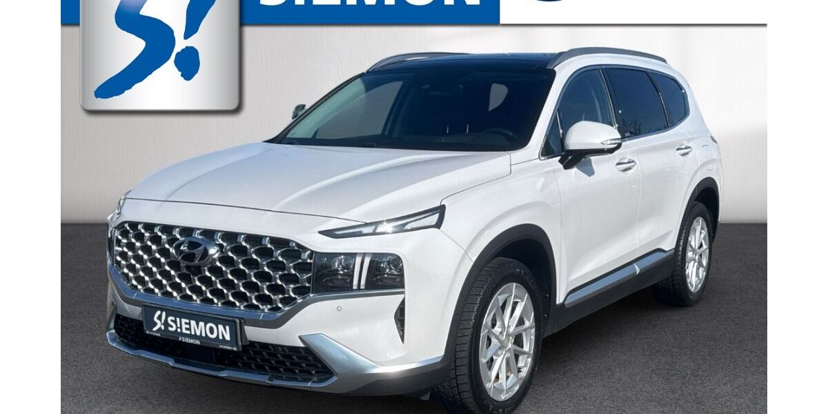 Hyundai SANTA FE 65.954 km 29.830 &euro; Salzbergen 48499