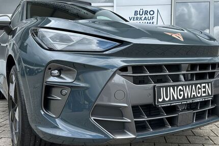 Cupra Terramar 7.900 km 42.790 &euro; Singen 78224