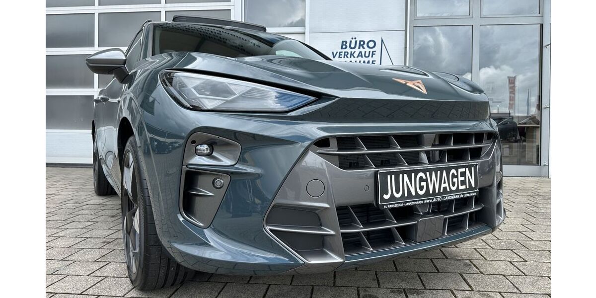 Cupra Terramar 7.900 km 42.790 &euro; Singen 78224