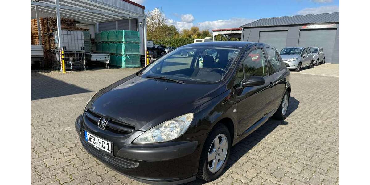 Peugeot 307 228.000 km 1.250 &euro; Klingenberg 63911