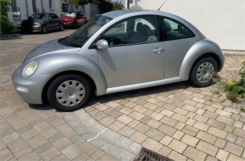 Beetle