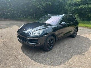 Cayenne