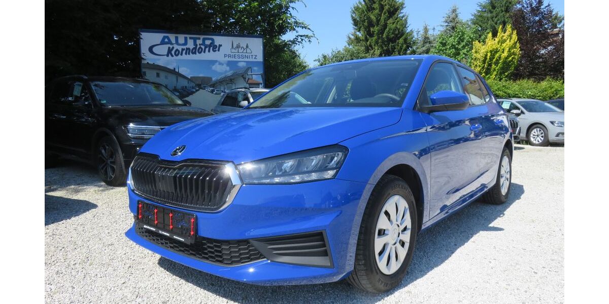 Skoda Fabia 43.000 km 9.850 &euro; Prießnitz 04654