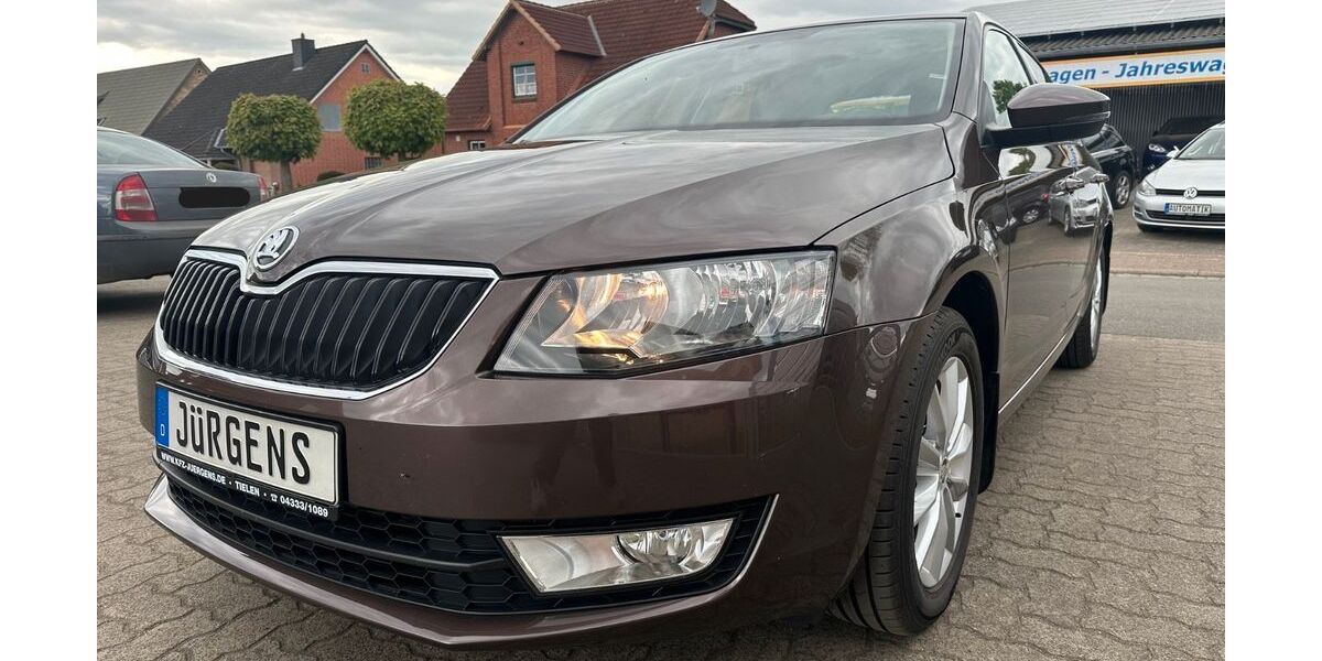 Skoda Octavia 93.984 km 8.690 &euro; Tielen 24803