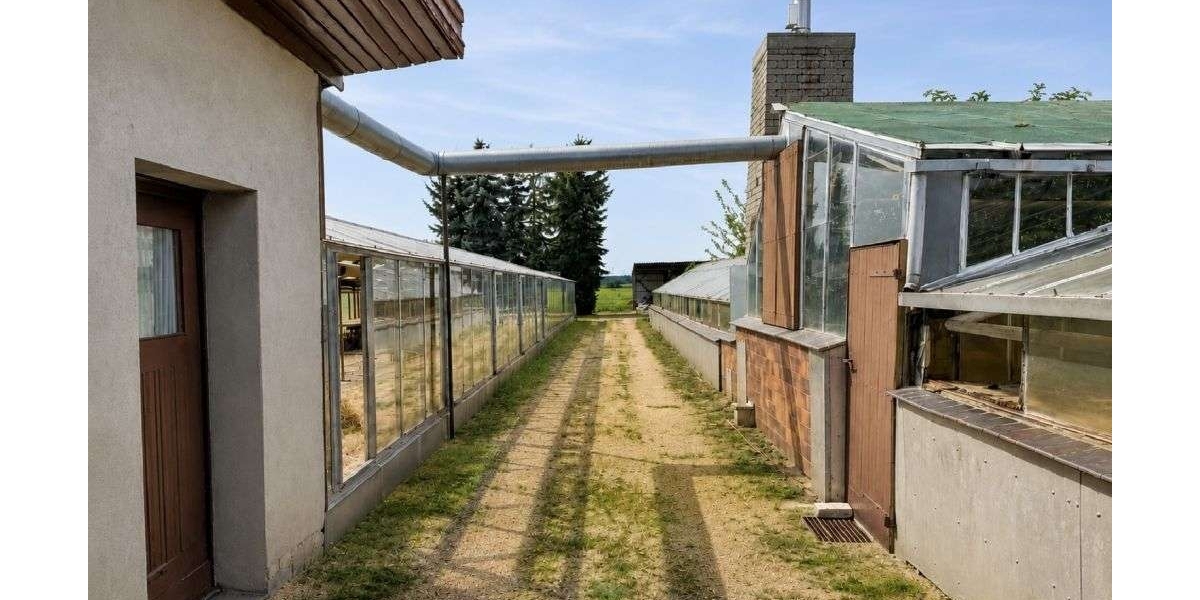 DahmeMark - Viel Platz für neue Ideen: Wohnhaus mit ehemaliger Gärtnerei und Ackerfläche - Einfamilienhaus Dahme/Mark Mark | Angebot:27348929