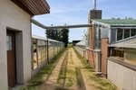 DahmeMark - Viel Platz für neue Ideen: Wohnhaus mit ehemaliger Gärtnerei und Ackerfläche - Einfamilienhaus Dahme/Mark Mark | Angebot:27348929