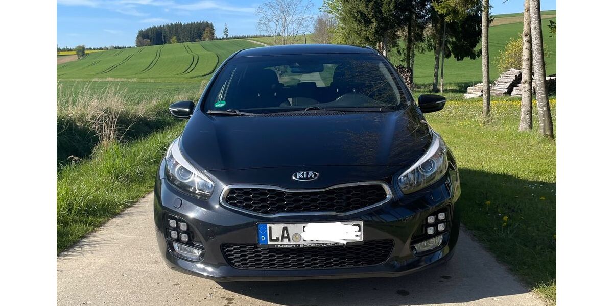 Kia ceed / Ceed 145.000 km 15.000 &euro; Egglkofen 84546
