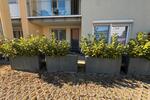 Erdgeschoßwohnung Waldshut-Tiengen Tiengen - 2.5 Zimmer, 72 m&sup2;, 795&euro; | Angebot:26399177