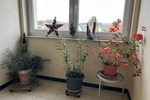Etagenwohnung Uttenreuth - 4 Zimmer, 96 m&sup2;, 325.000&euro; | Angebot:25671215