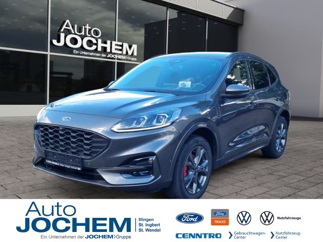 Kuga