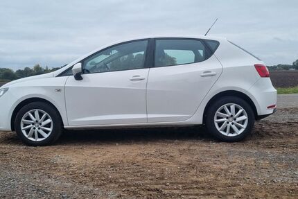 Seat Ibiza 113.694 km 5.500 € Barenburg 27245