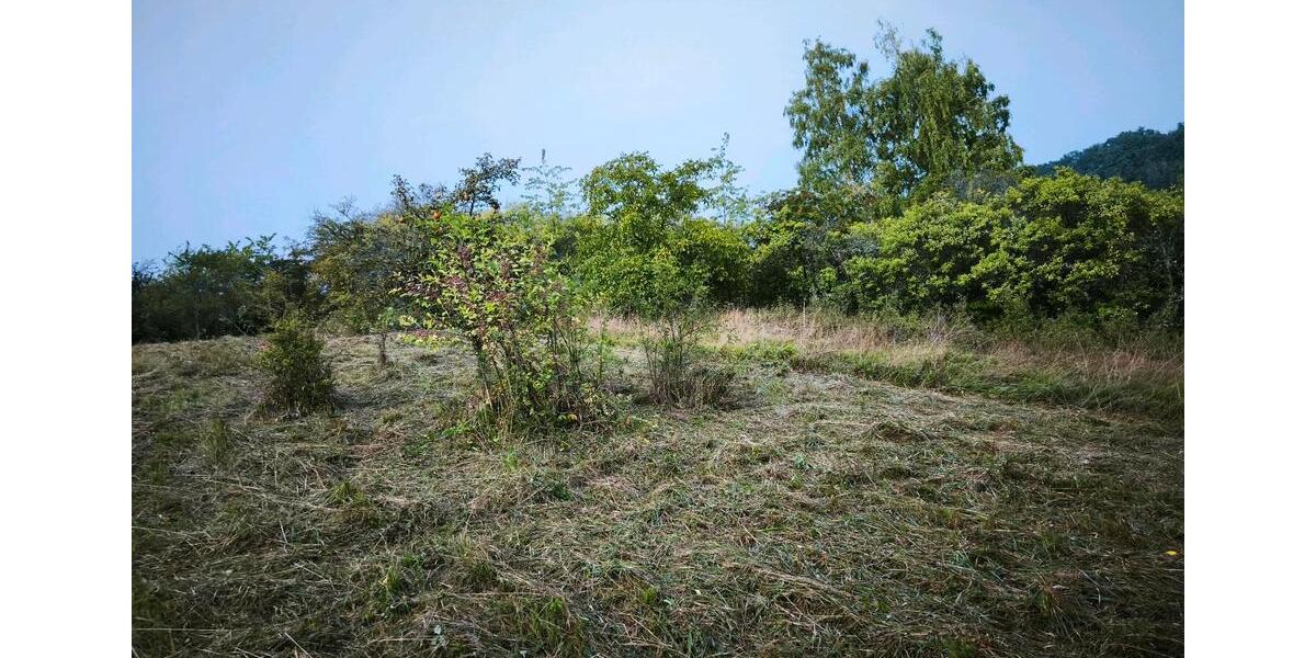 Grundstück Auenwald - 100&euro; | Angebot:26394229
