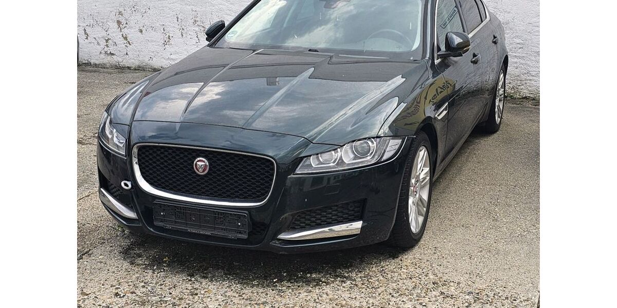 Jaguar XF 60.000 km 9.999 &euro; Oberursel 61440