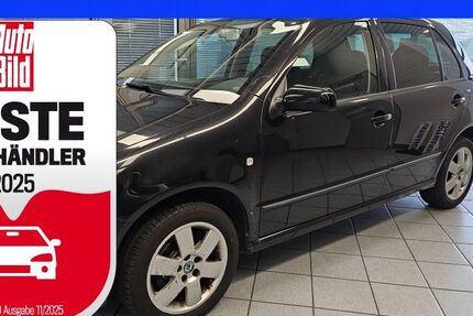 Skoda Fabia 418.538 km 1.200 € Wolfsburg-Heiligendorf 38444