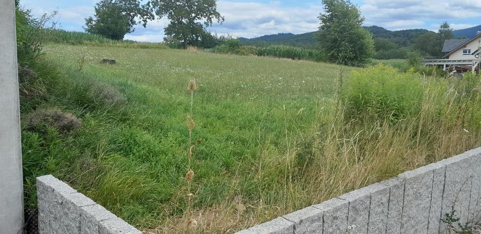 Etagenwohnung Müllheim - 5 Zimmer, 120 m&sup2;, 600.000&euro; | Angebot:25398862