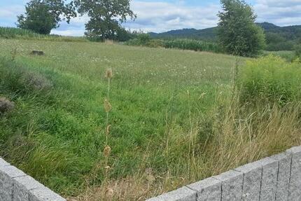 Wohnung Müllheim - 5 Zimmer, 120 m&sup2;, 600.000&euro; | Angebot:25398862