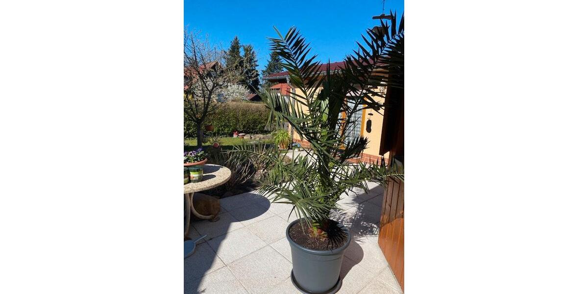 Einfamilienhaus Eberswalde - 3 Zimmer, 100 m&sup2;, 1.300&euro; | Angebot:25979336