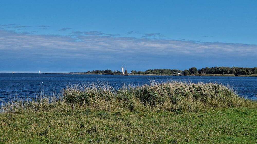 HotelAppartementsFerienwohnungen 1 zimmer