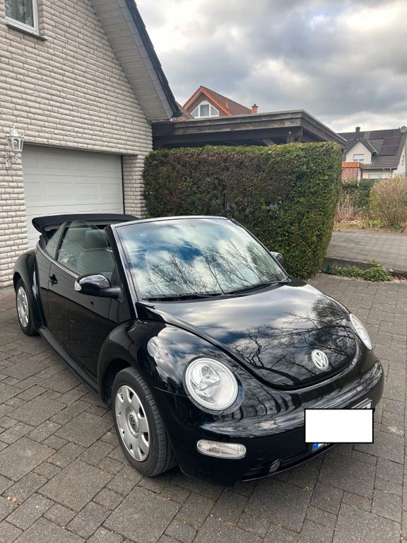 Beetle