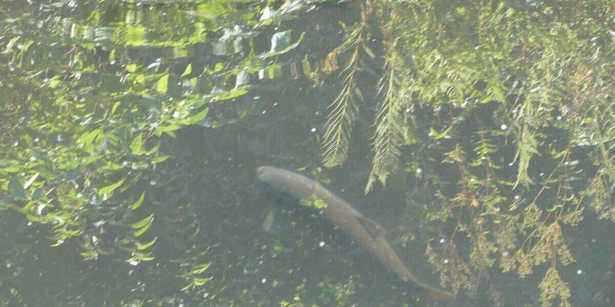 Einfamilienhaus Freudenberg Niederndorf - 6 Zimmer, 168 m&sup2;, 354.000&euro; | Angebot:25800103