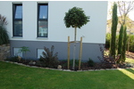Architektenhaus in Feldrandlage mit ca. 350m² Wohnfl. und ca. 802m² Grundst.! - Einfamilienhaus Büttelborn | Angebot:26644562