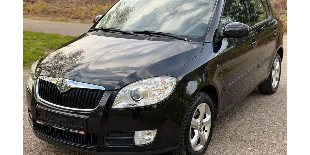 Skoda Fabia 153.300 km 2.599 &euro; Oberhausen 46045